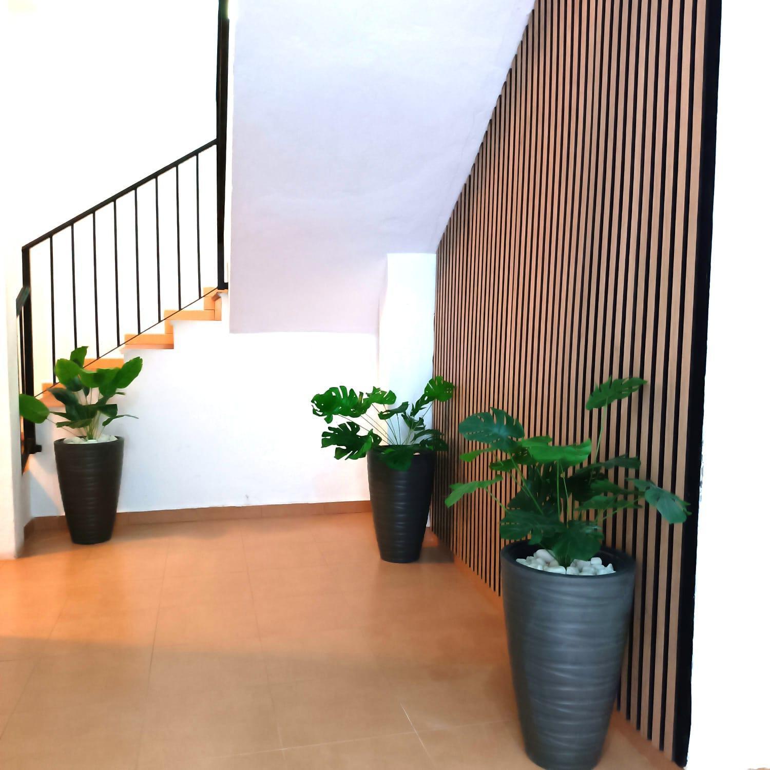 Apartamentos Duende Μάλαγα Εξωτερικό φωτογραφία